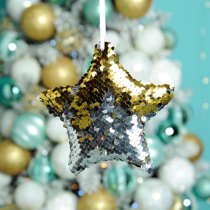 Gold and Silver Reversible Sequin Star